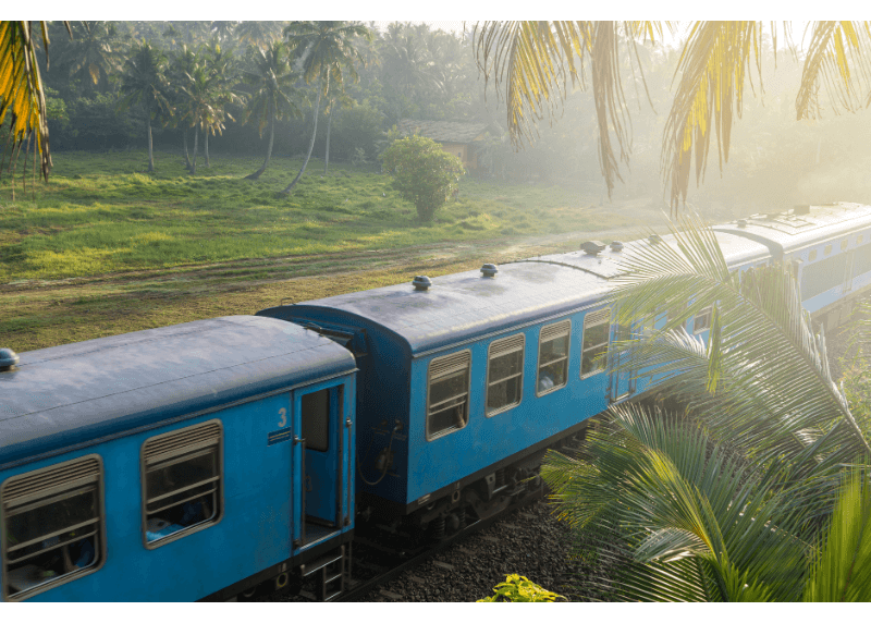 A train drives through a lush green jungle