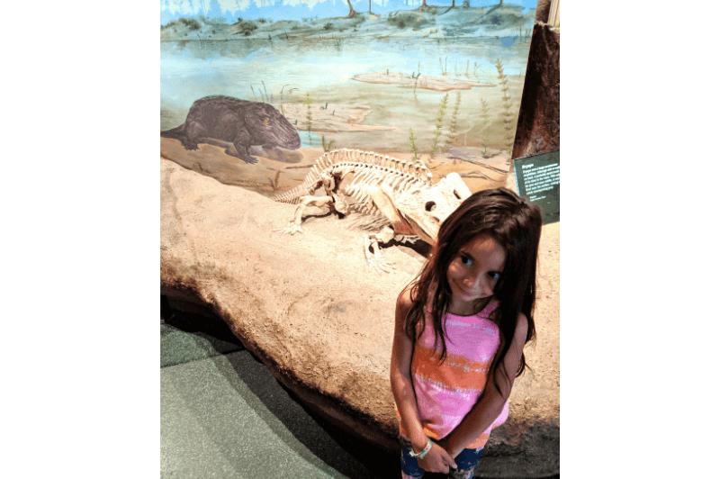 A young girl stands in front of a small dinosaur skeleton - something similar to an alligator