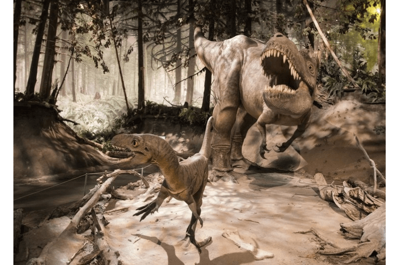 Animatronic recreations of two dinosaurs at the Royal Tyrrell Dinosaur Museum in Drumheller Alberta