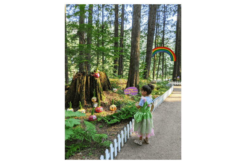 A girl in a fairy dress admires fairy houses in the enchanted forest near Revelstoke BC