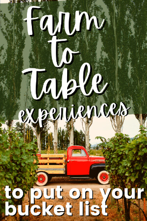 Pinterest pin - a vintage red truck drives by at the end of a row of trees. Text reads "farm to table experiences to put on your bucket list"