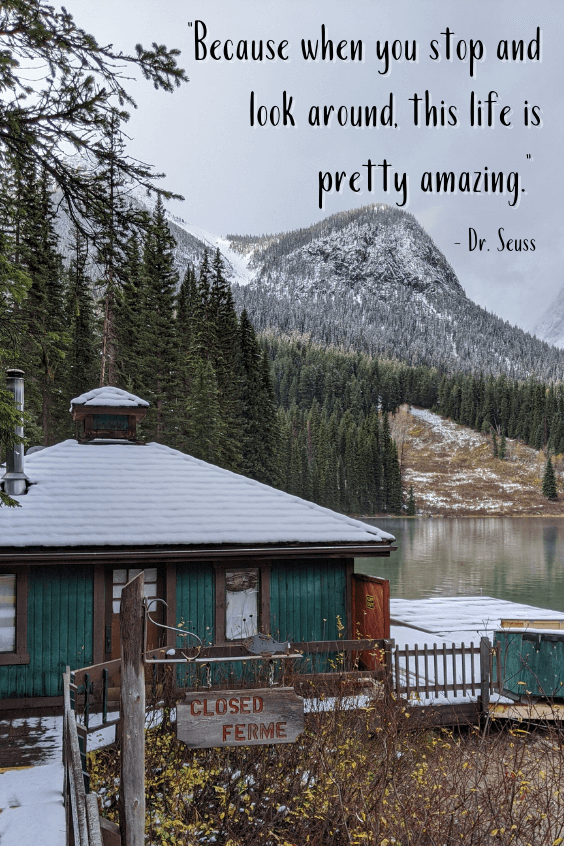 The turquoise canoe shack boarded up for the winter in Emerald Lake BC. The forest wraps around the cabin and the mountains are in the background above a sliver of the lake. Quote reads "Because when you stop and look around, this life is pretty amazing." - Dr. Seuss