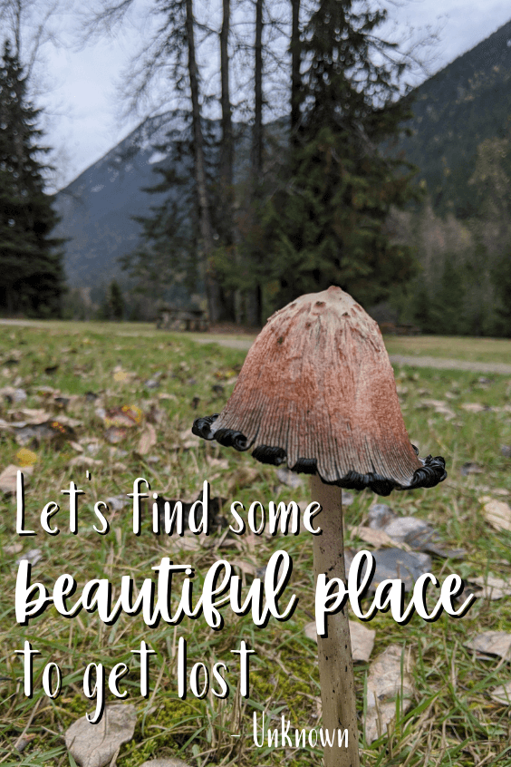 An almost cartoonish dome-topped mushroom stands tall in the grass with its red cap. Blurry in the distance are some evergreen trees in front of some mountains. Quote reads "Let's find some beautiful place to get lost." - Unknown