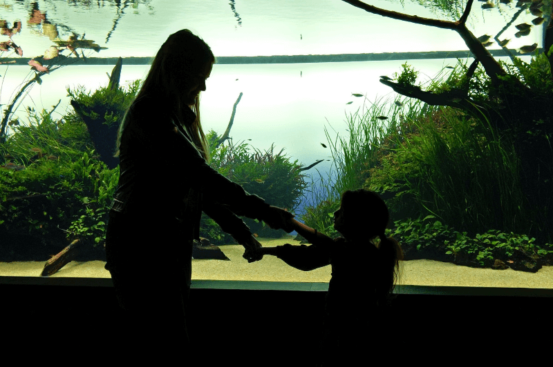 The forests under water exhibit at the Lisbon Oceanarium. A woman and heer young daughter hold each other's hands as they are silhouetted by the light of a fish tank behind them. The large tank is full of plants that look like trees.