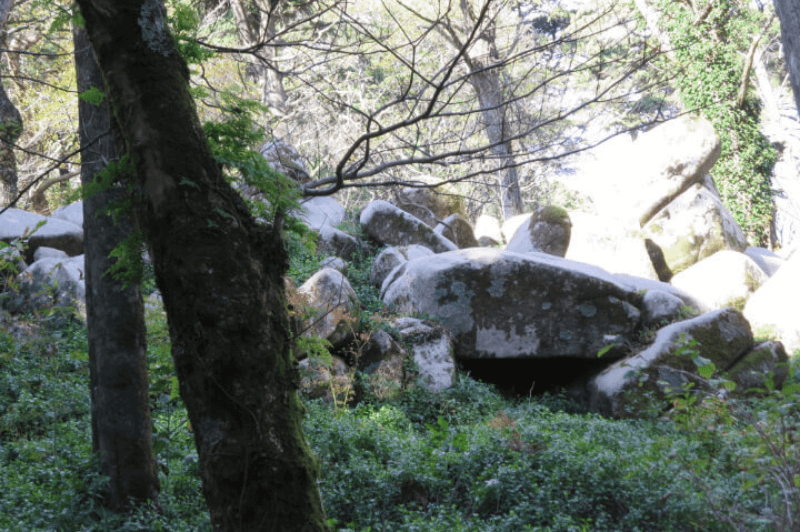 The pile of boulders in the forest hiding the entrance to the Initiation well at Quinta da Regaleira