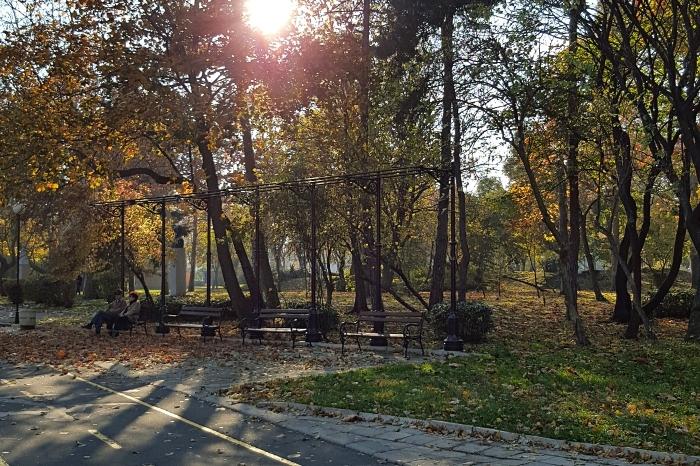 The sun is low behind the trees in Burgas' sea garden in the fall. Benches line a bicycle path.