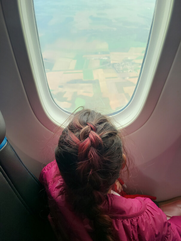 A girl with pink hair looks out her window as the plane flies into our first gap year stop - Paris