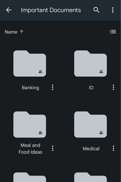 A screenshot of Google Drive folder called "important documents" Sub folders include Banking, ID, Medical, and Meal Ideas