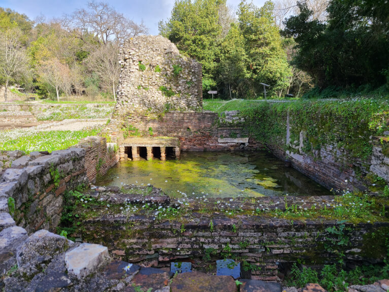 The Roman Baths at Butrint National Park. The ruins of baths still filled with murky green water.
